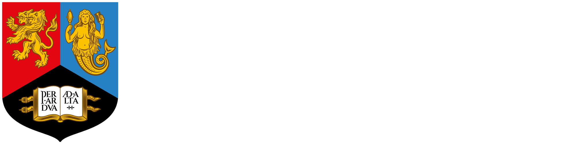 University-of-Birmingham-logo-white.png